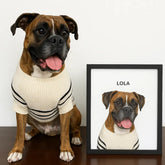 Classic Pet Portrait